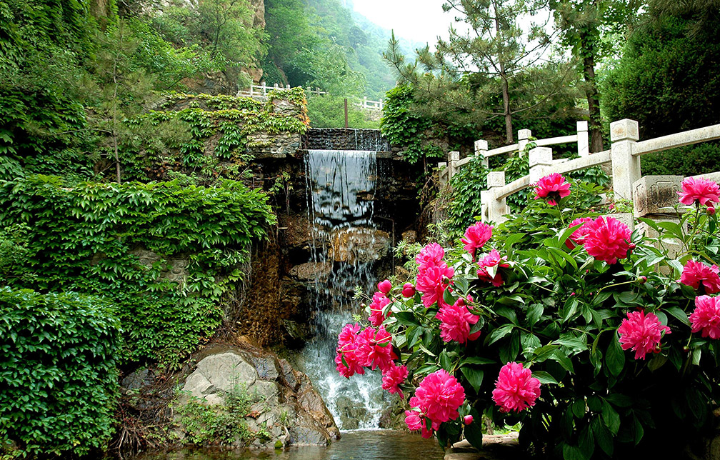 養(yǎng)生旅游度假區(qū)文化景觀設計圖片